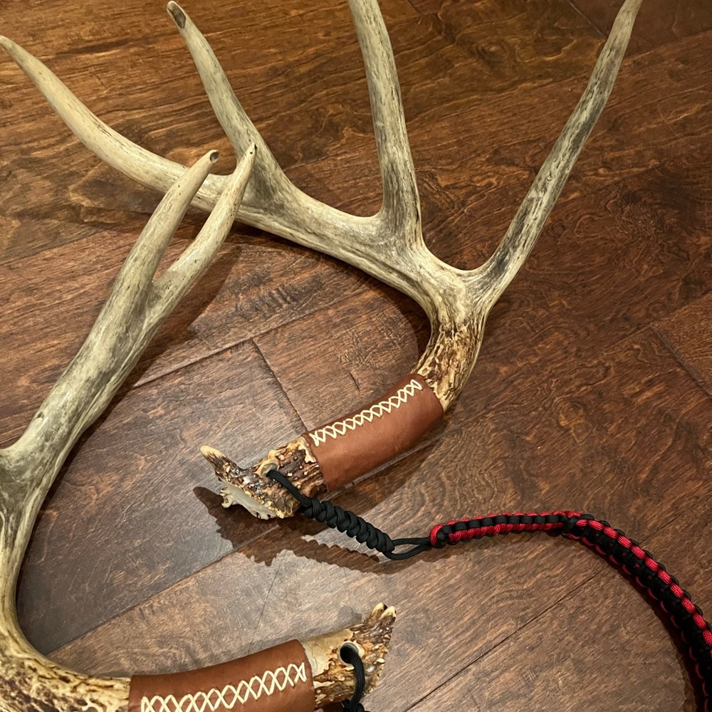 Deer Rattling Antlers - Picture 3 of 5